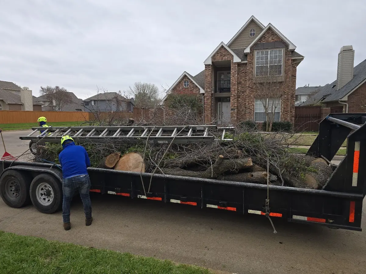 Expert Tree Fertilization with proper safety equipment in Selma